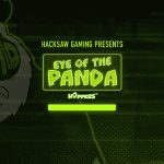 Eye of the Panda